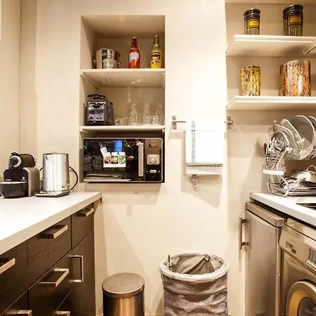Apartment Du Louvre *